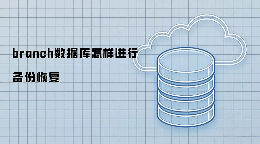 branch数据库怎样进行备份恢复
