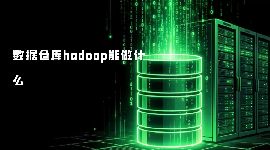数据仓库hadoop能做什么