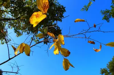 img_6a5d9236a28b532.webp
