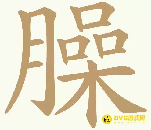 img_6a5db5295e5c430.webp