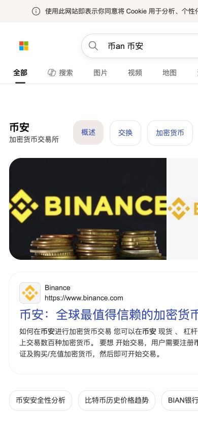 iPhone 移动页面搜索币an币安时显示 Binance 官方结果与 binance.com 域名