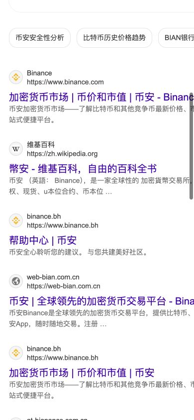 iPhone 搜索结果同时显示 binance.com 与多个不同域名的页面