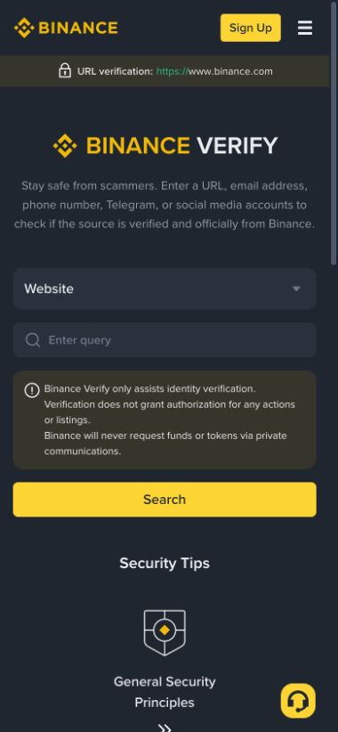 iPhone 移动尺寸下的 Binance Verify 页面,显示 Website 选项、查询框和 Search 按钮
