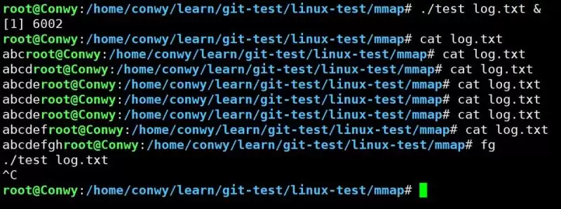 Linux系统调用mmap的基本概念和使用方法