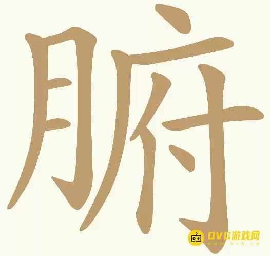 img_6a5f022855a0830.webp