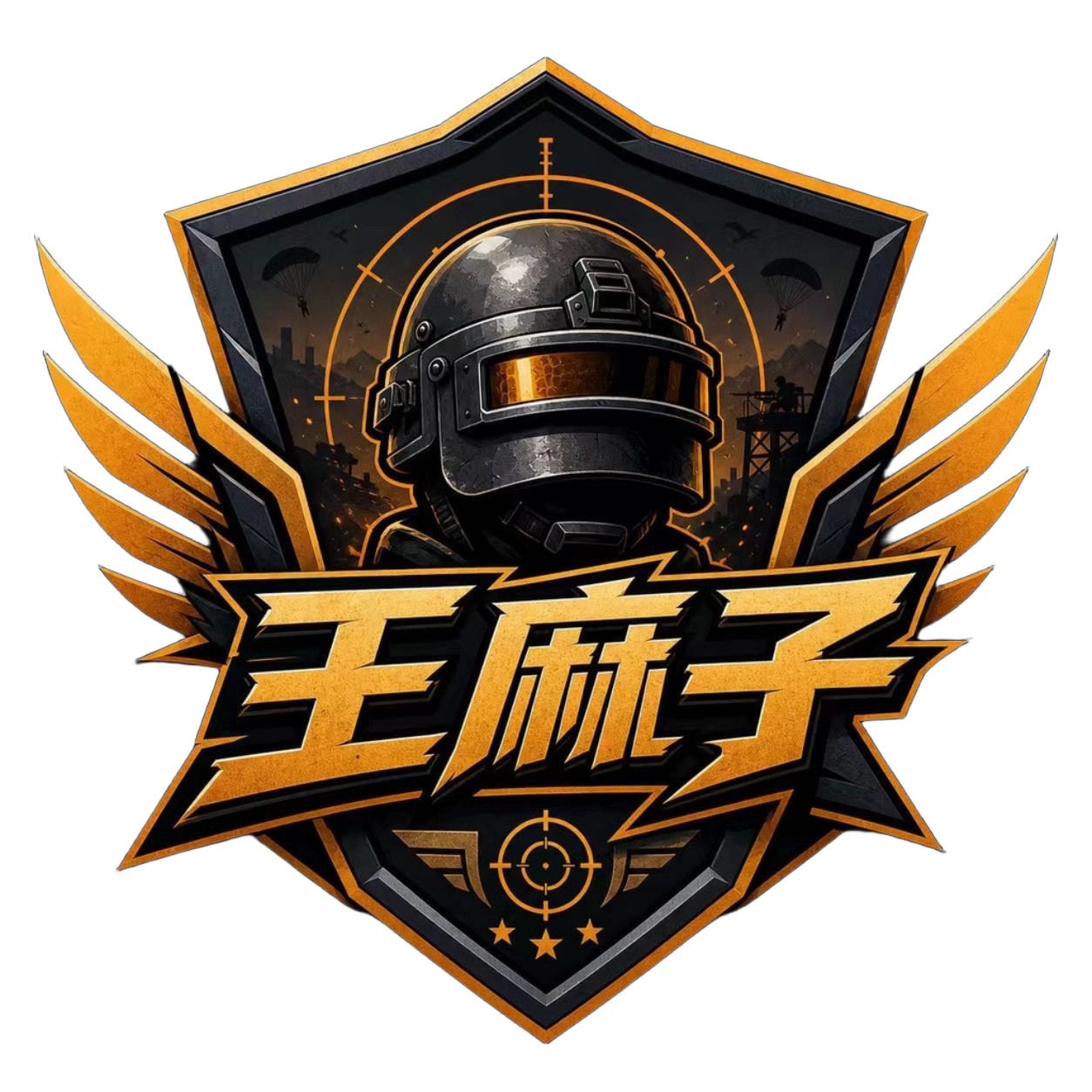 王麻子追踪