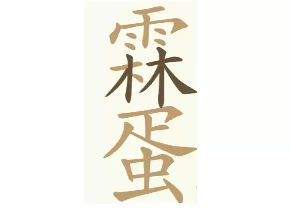 img_6a607a205589e31.webp