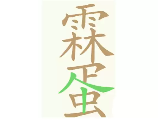 img_6a607a20558a032.webp
