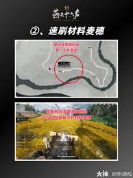 img_6a60b3674a43b31.jpg