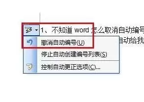 img_6a6188972a70b31.webp