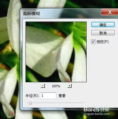 img_6a6192e85ee2b35.webp