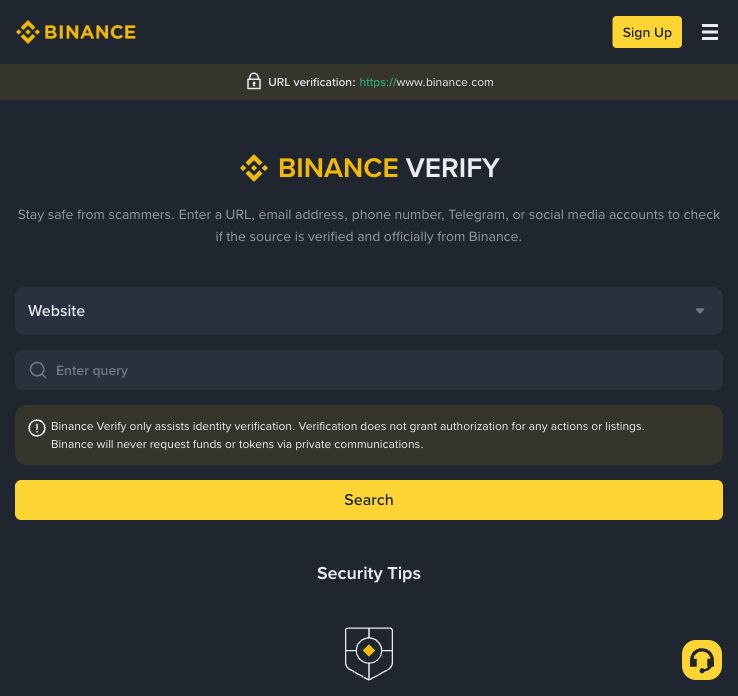 Binance Verify 官方验证页，包含 Website 类型、Enter query 输入框和 Search 按钮