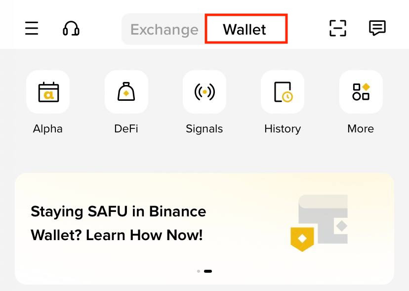 币安App顶部Wallet标签被红框标出,下方显示Alpha、DeFi、Signals、History和More入口