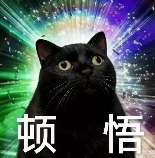 img_6a61e476bf06e37.webp