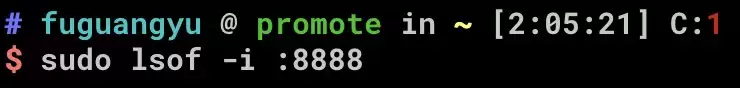 Linux/Mac怎么查看端口占用并杀死进程？手把手教你解决端口冲突