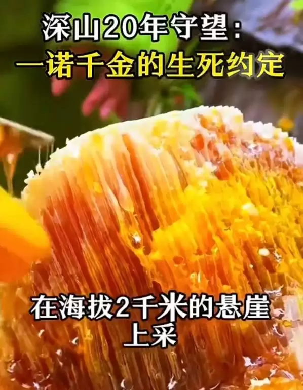 img_6a63ff0ea144337.webp