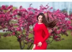 img_6a642c49e10be32.webp