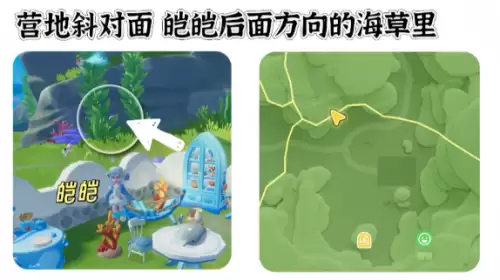 心动小镇寻鲸季小鲸鱼在哪 寻鲸季小鲸鱼点位汇总 心动小镇寻鲸季小鲸鱼在哪 寻鲸季小鲸鱼点位汇总