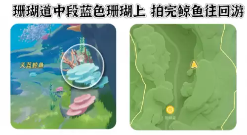 心动小镇寻鲸季小鲸鱼在哪 寻鲸季小鲸鱼点位汇总 心动小镇寻鲸季小鲸鱼在哪 寻鲸季小鲸鱼点位汇总
