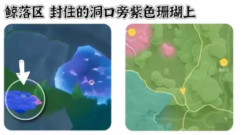 心动小镇寻鲸季小鲸鱼在哪 寻鲸季小鲸鱼点位汇总 心动小镇寻鲸季小鲸鱼在哪 寻鲸季小鲸鱼点位汇总