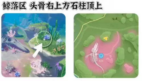 心动小镇寻鲸季小鲸鱼在哪 寻鲸季小鲸鱼点位汇总 心动小镇寻鲸季小鲸鱼在哪 寻鲸季小鲸鱼点位汇总