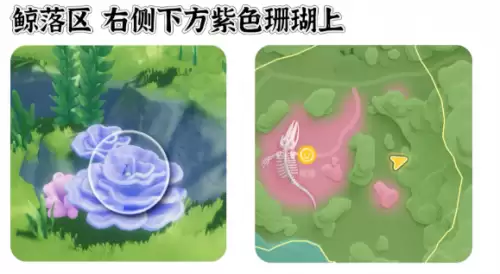 心动小镇寻鲸季小鲸鱼在哪 寻鲸季小鲸鱼点位汇总 心动小镇寻鲸季小鲸鱼在哪 寻鲸季小鲸鱼点位汇总