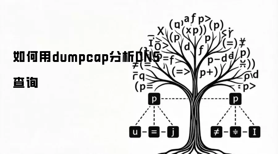 如何用dumpcap分析DNS查询