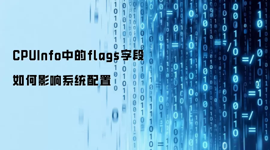 CPUInfo中的flags字段如何影响系统配置