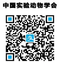 img_6a657c26ee98a31.webp