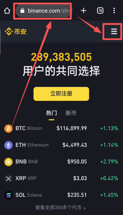 手机浏览器地址栏显示币安主域名,红框标出域名核对位置