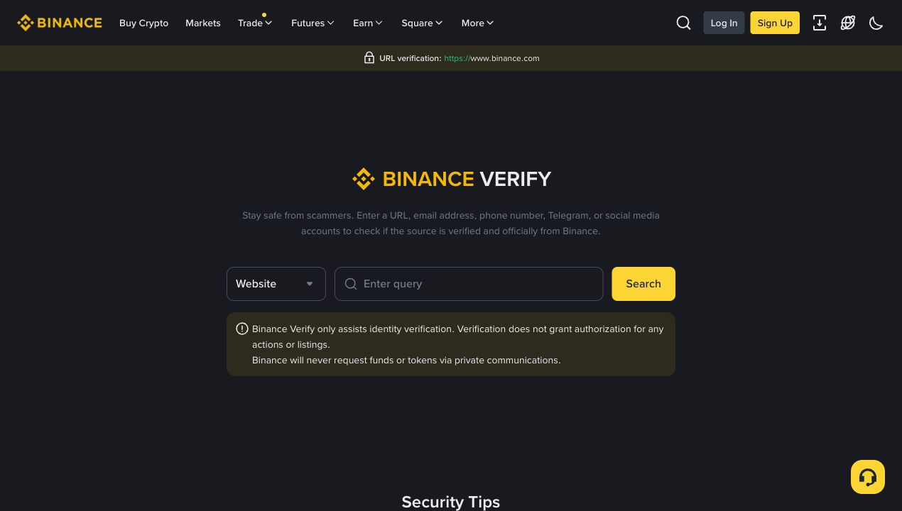 Binance Verify 官方验证页面,包含 Website 类型、查询框和安全提示