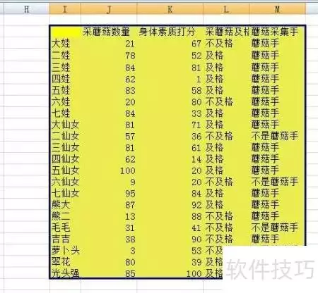 img_6a67f3c562b5032.webp