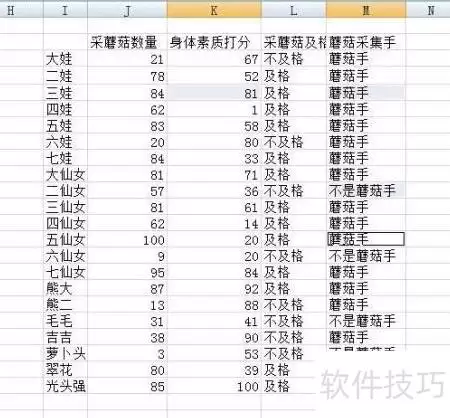 img_6a67f3c562b5233.webp