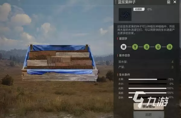 失控进化种子优质基因培育与高效种植搭配指南