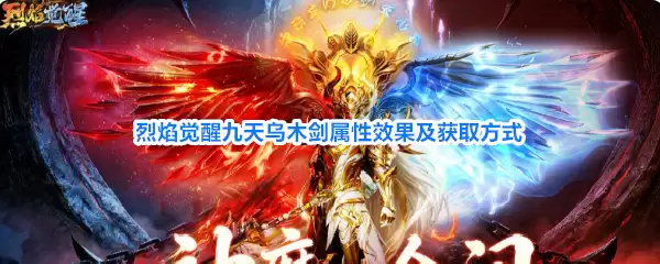 img_6a682e9f4553830.webp