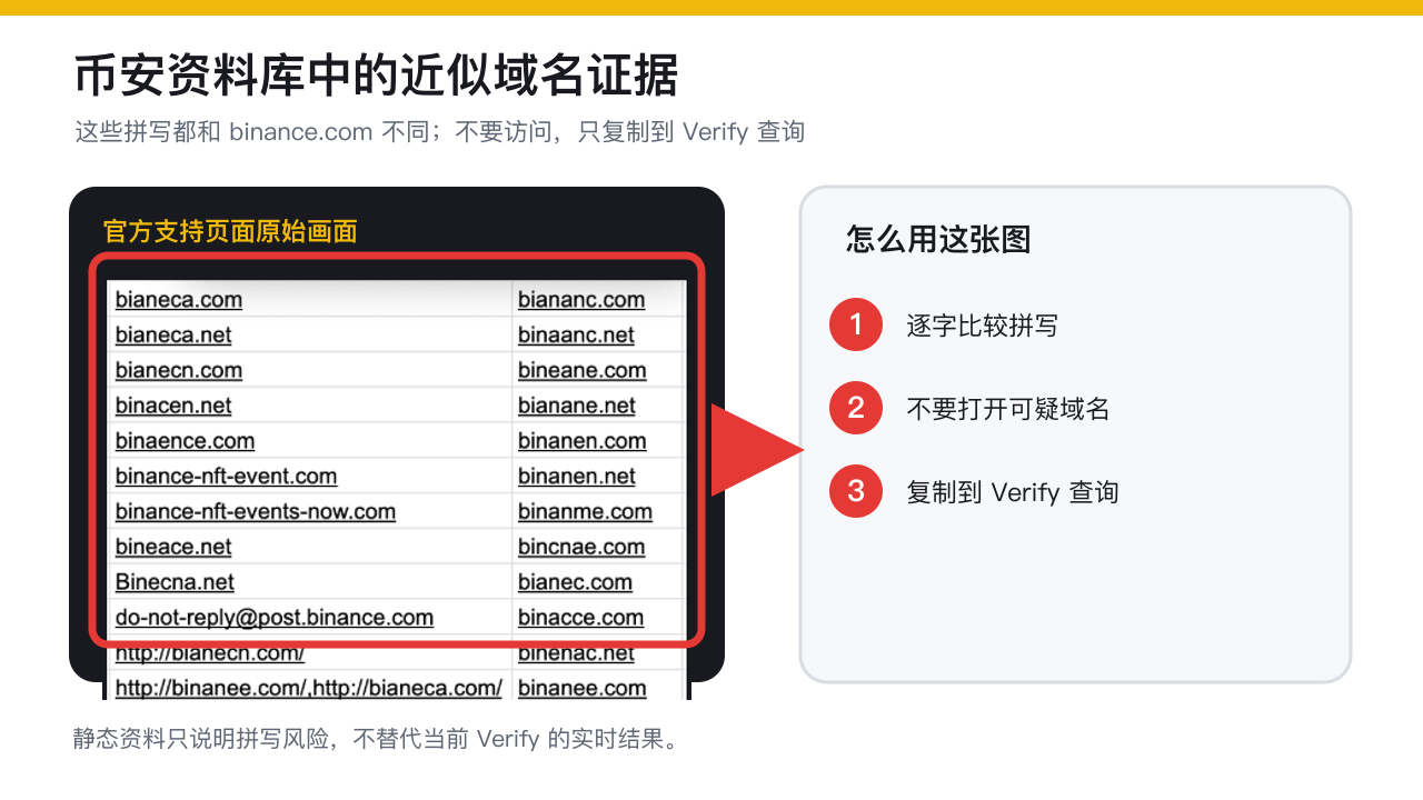 仿冒域名示例用于识别异常地址结构