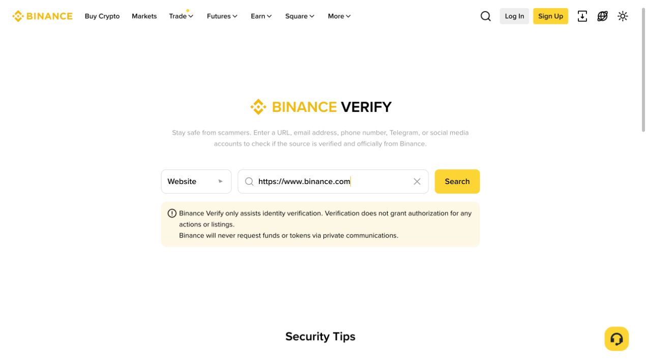 在 Website 查询框输入 https://www.binance.com 准备搜索