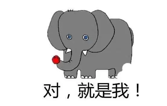 img_6a69a12b989bd34.webp