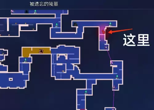 重生细胞月光花钥匙在哪找-月光花钥匙分布地点