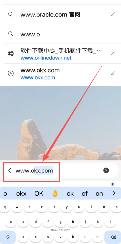 手机浏览器打开 OKX 页面与网络访问提示截图,适合官网打不开和网络切换排查段落