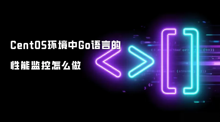 CentOS环境中Go语言的性能监控怎么做