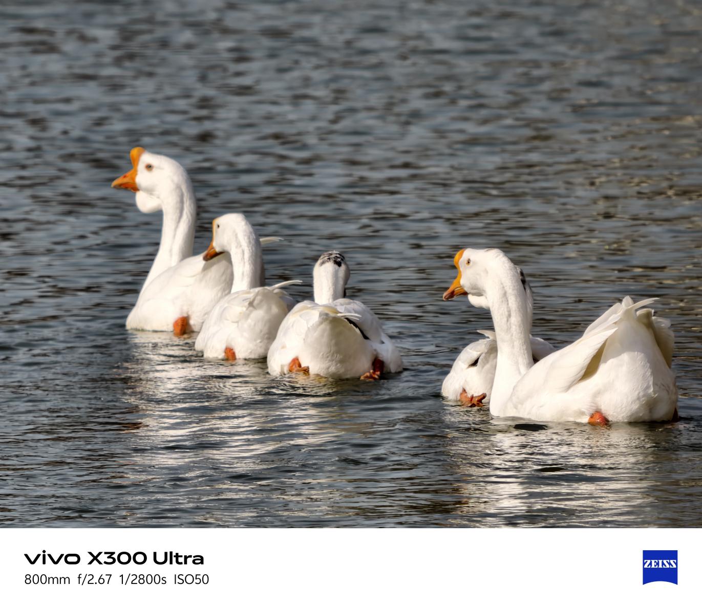 vivo X300 Ultra全面评测 手机里的“专业V单”究竟有多能打?