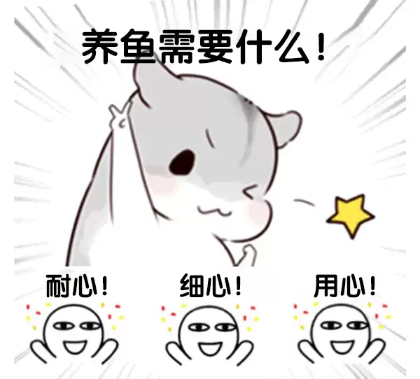 img_6a7407a4ec04831.webp