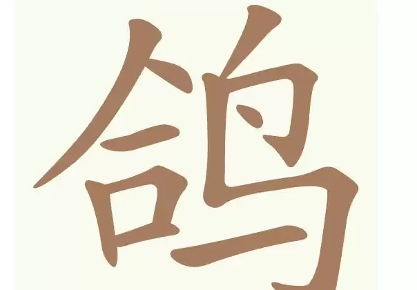 img_6a740c5565ecf31.webp