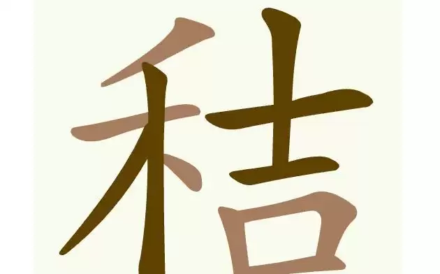 img_6a740df8b602d31.webp