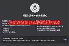 猎豹浏览器怎么使用无痕浏览