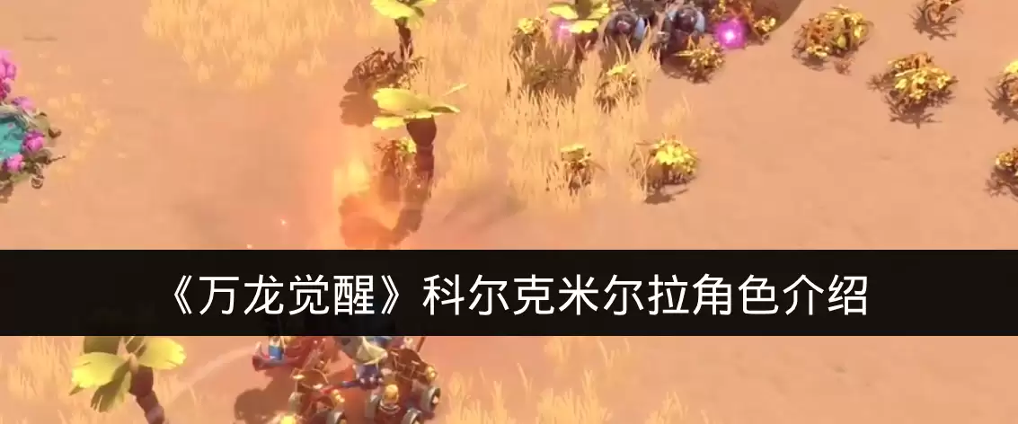 《万龙觉醒》科尔克米尔拉角色介绍