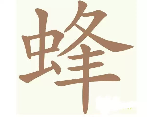 img_6a7531c5cbdf931.webp