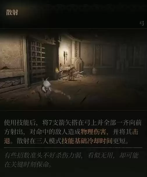 img_6a7536ed53d6935.webp