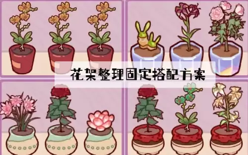 我的休闲时光花架整理固定搭配方案 我的休闲时光花架整理固定搭配方案
